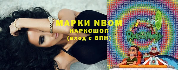 молекула духа Вязьма